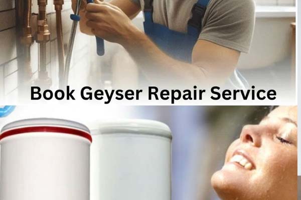 Geyser Repair Service